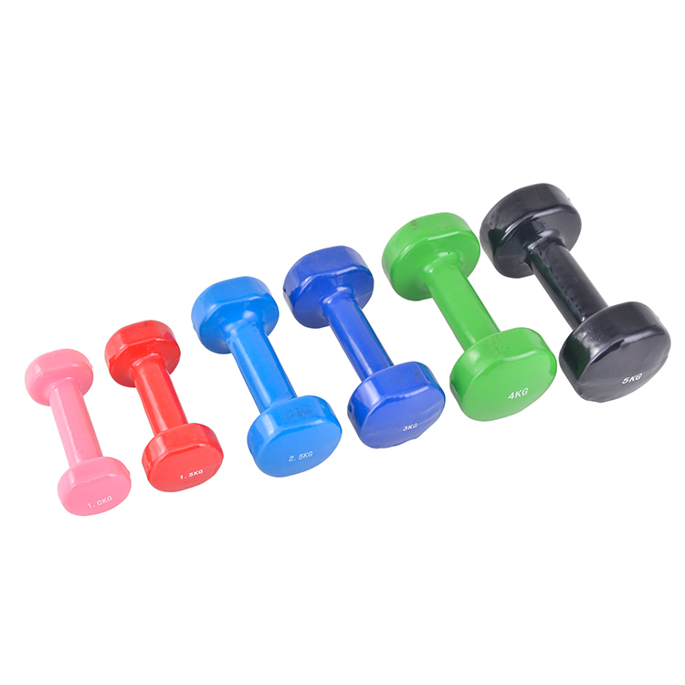 Adjustable Dumbbell Set with Case