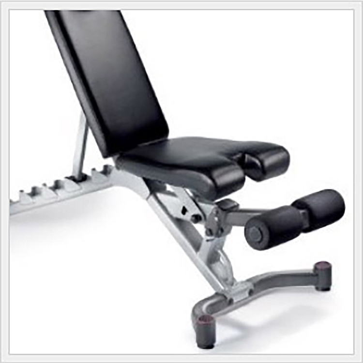 Gym Dumbbell Weight Exercise Bench